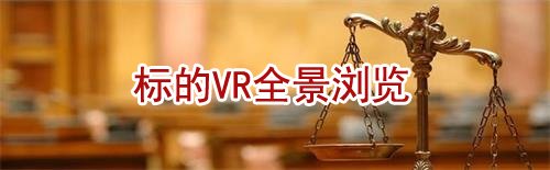 联合拍卖公告 （2025）产权第289号